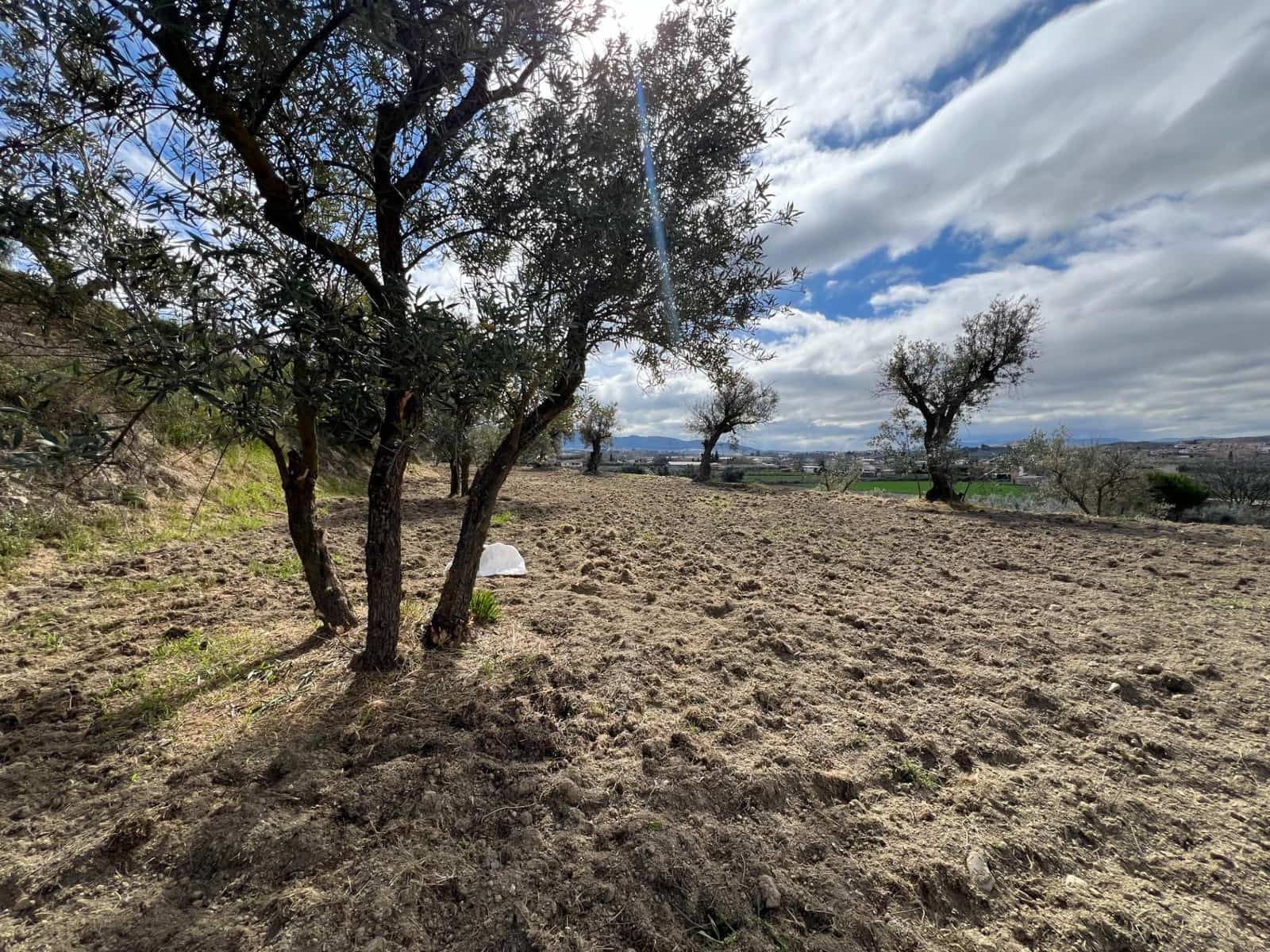 Area Edificabile in vendita in Alhendin - 48.000 € (Rif: 8874848)