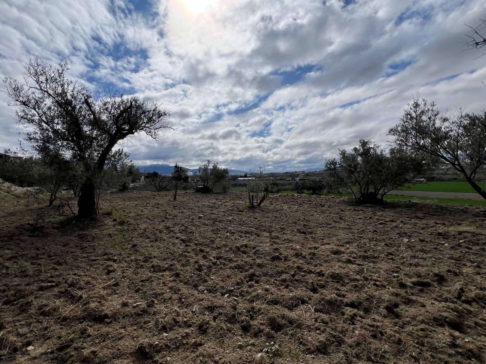 Area Edificabile in vendita in Alhendin - 48.000 € (Rif: 8874848)