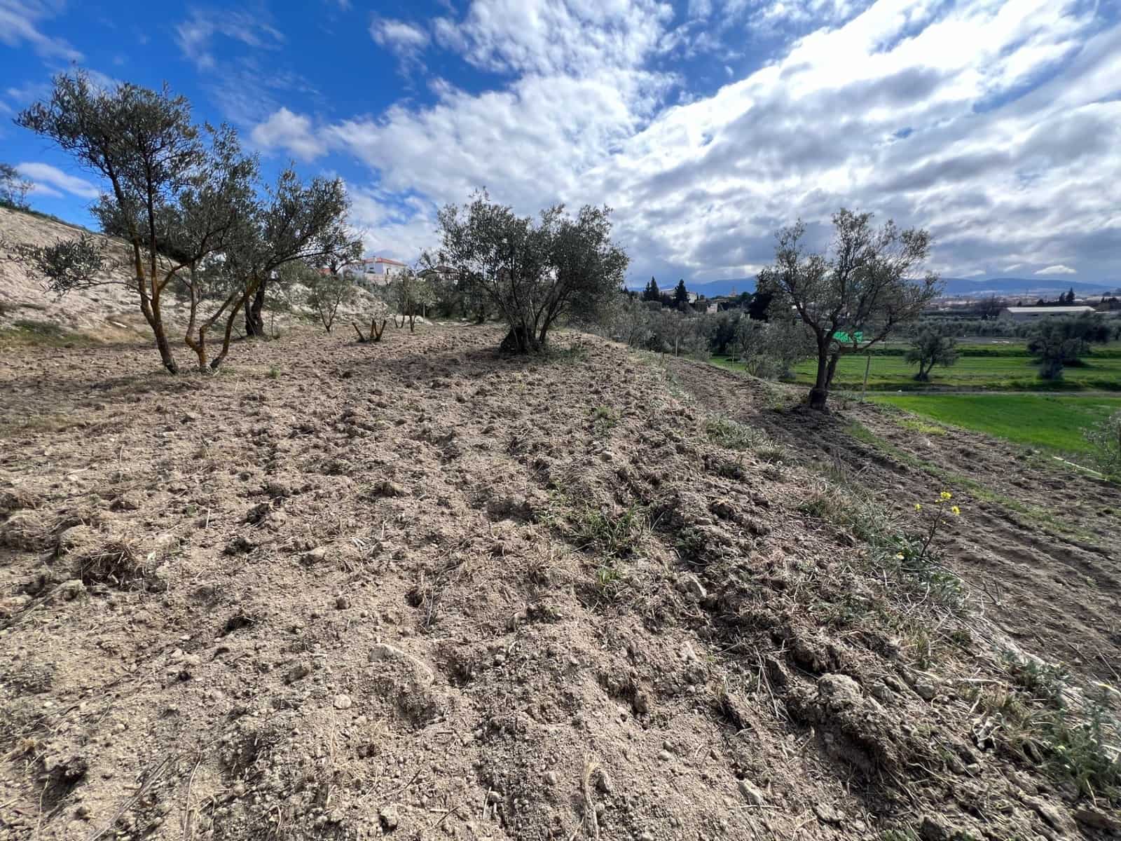 Area Edificabile in vendita in Alhendin - 48.000 € (Rif: 8874848)