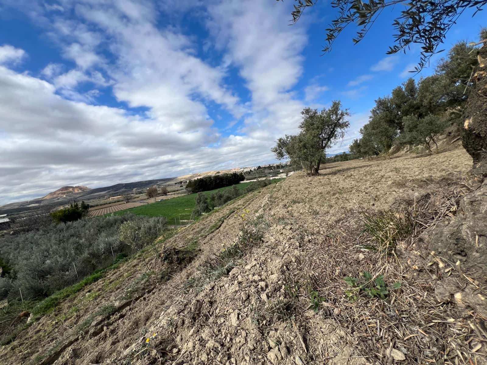 Area Edificabile in vendita in Alhendin - 48.000 € (Rif: 8874848)