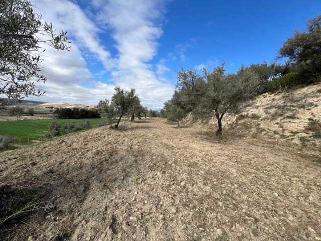 Area Edificabile in vendita in Alhendín - 48.000 € (Rif: 8874848)