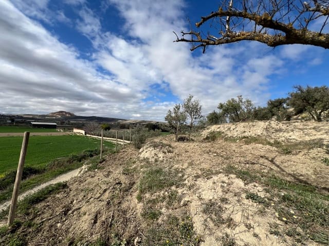 Area Edificabile in vendita in Alhendín - 48.000 € (Rif: 8874848)