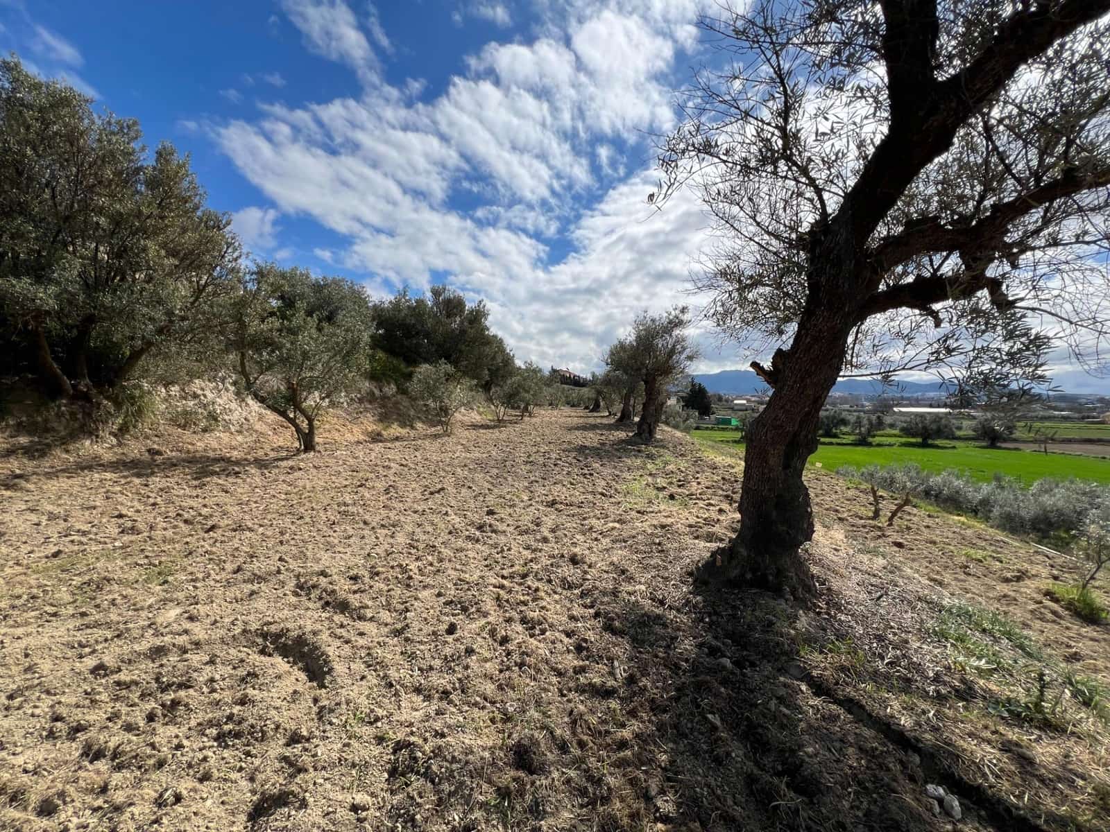 Area Edificabile in vendita in Alhendin - 48.000 € (Rif: 8874848)