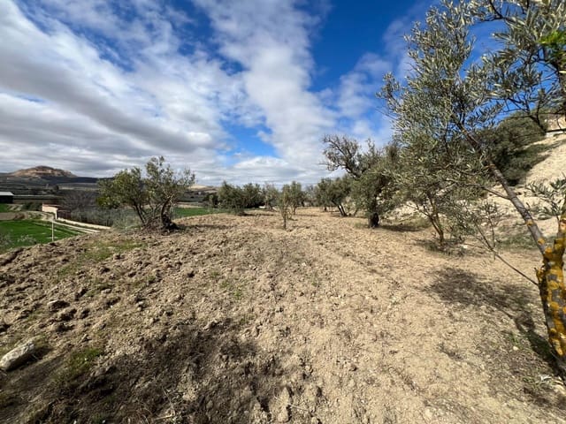 Area Edificabile in vendita in Alhendín - 48.000 € (Rif: 8874848)