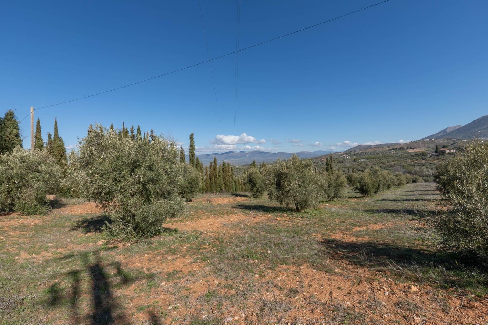 Grunde uden byggetilladelser til salg i Cogollos Vega - € 60.000 (Ref: 8893295)