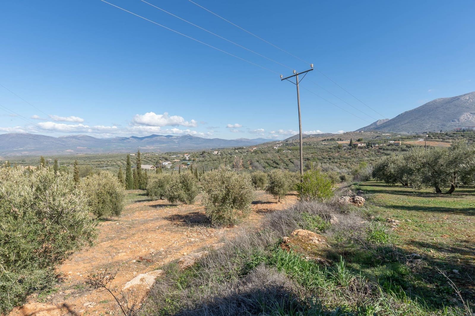 Grunde uden byggetilladelser til salg i Cogollos Vega - € 60.000 (Ref: 8893295)