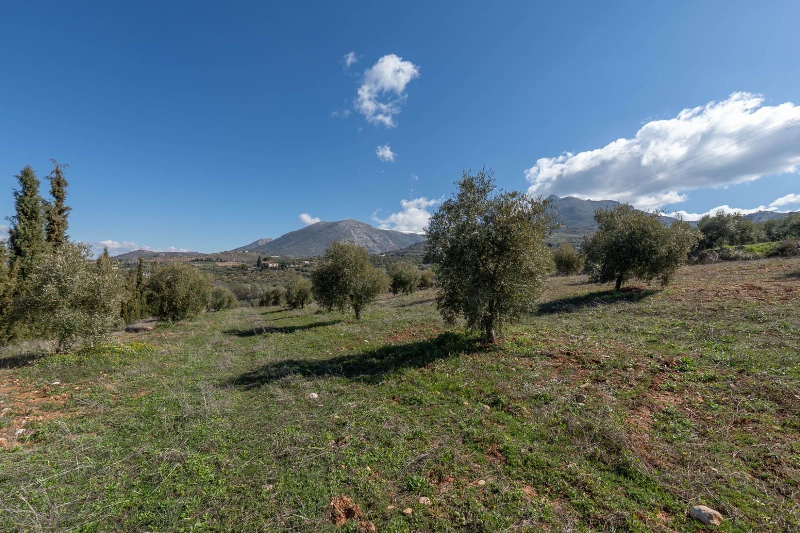 Grunde uden byggetilladelser til salg i Cogollos Vega - € 60.000 (Ref: 8893295)