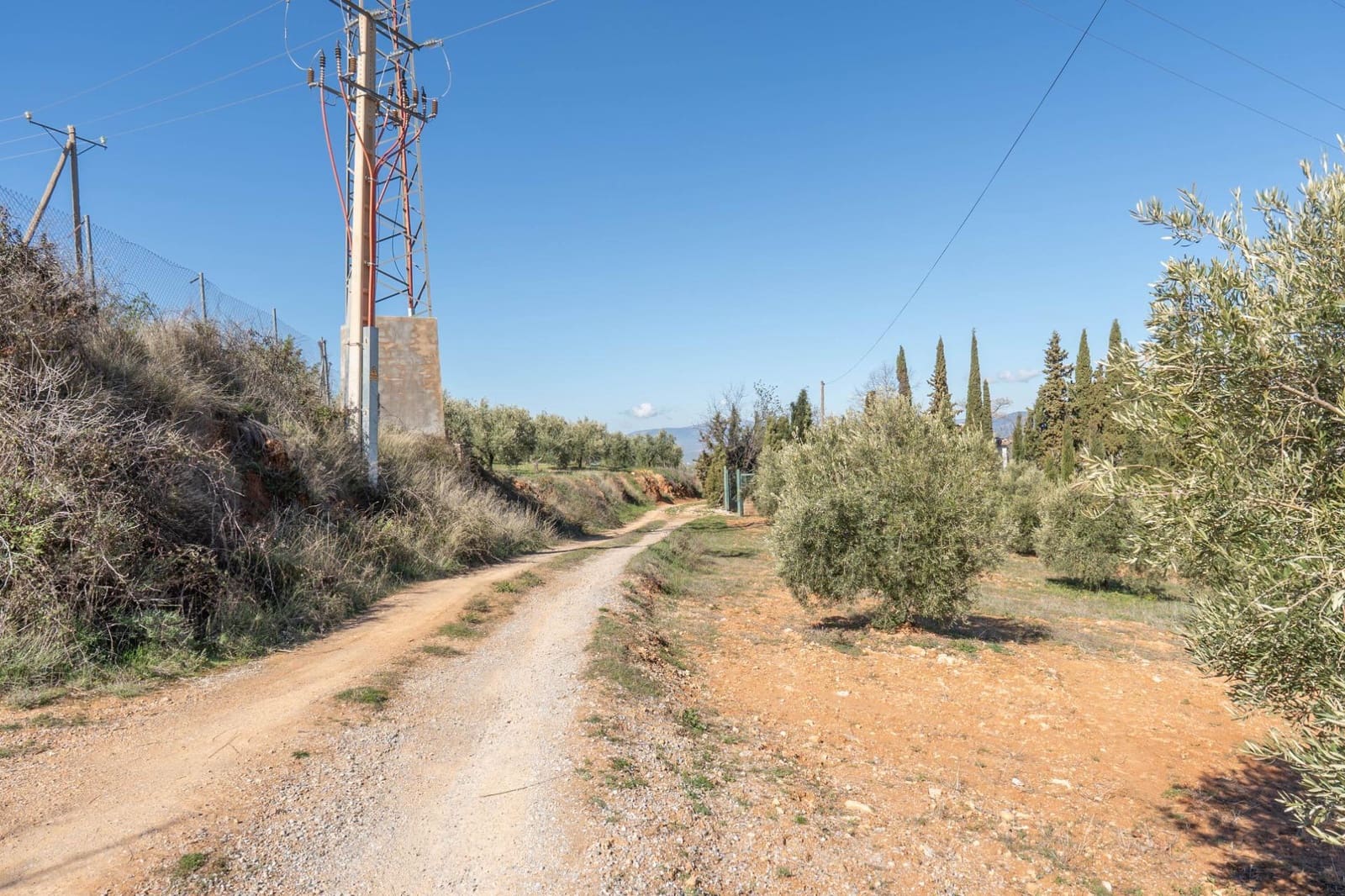 Grunde uden byggetilladelser til salg i Cogollos Vega - € 60.000 (Ref: 8893295)