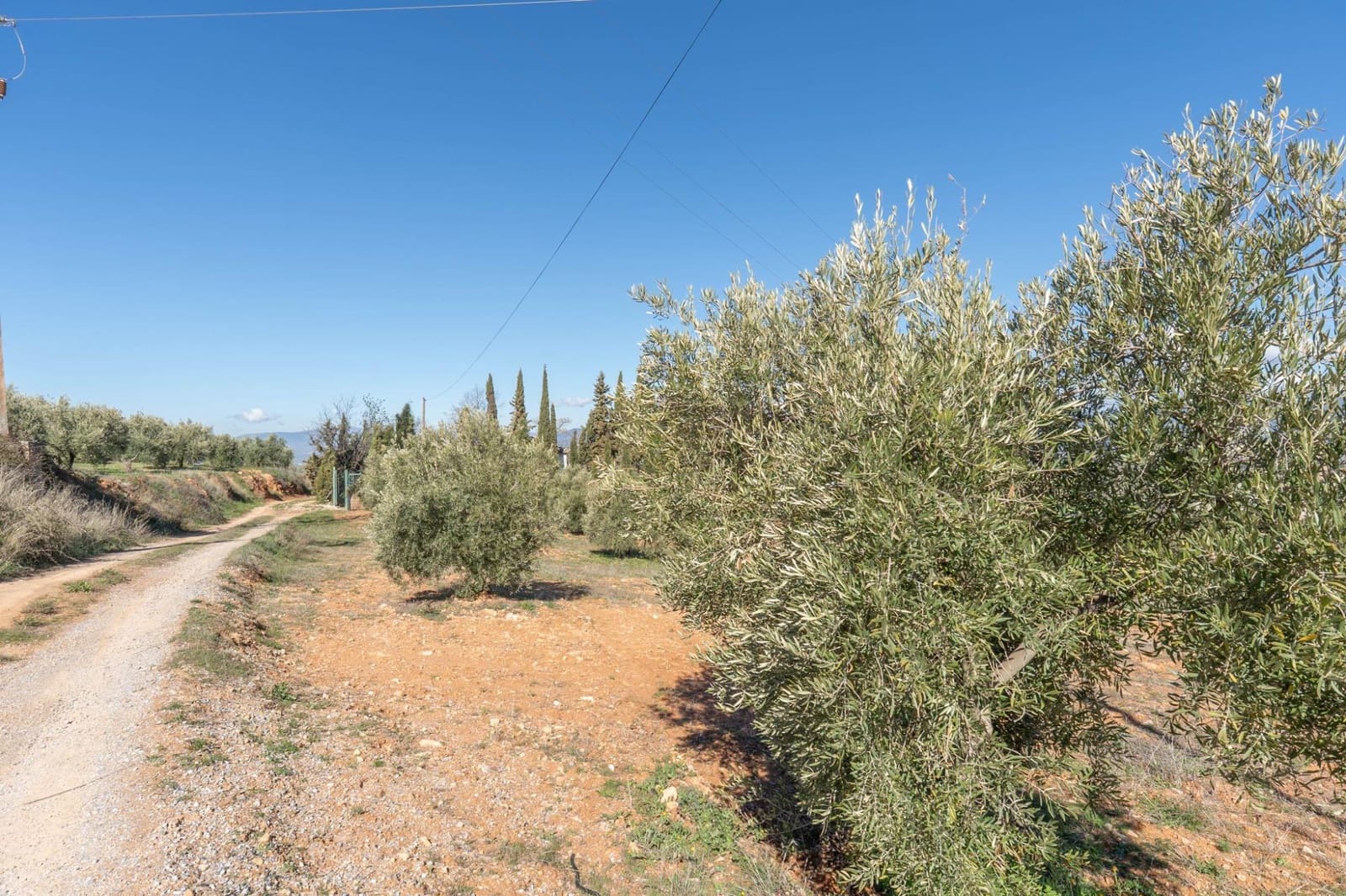 Grunde uden byggetilladelser til salg i Cogollos Vega - € 60.000 (Ref: 8893295)