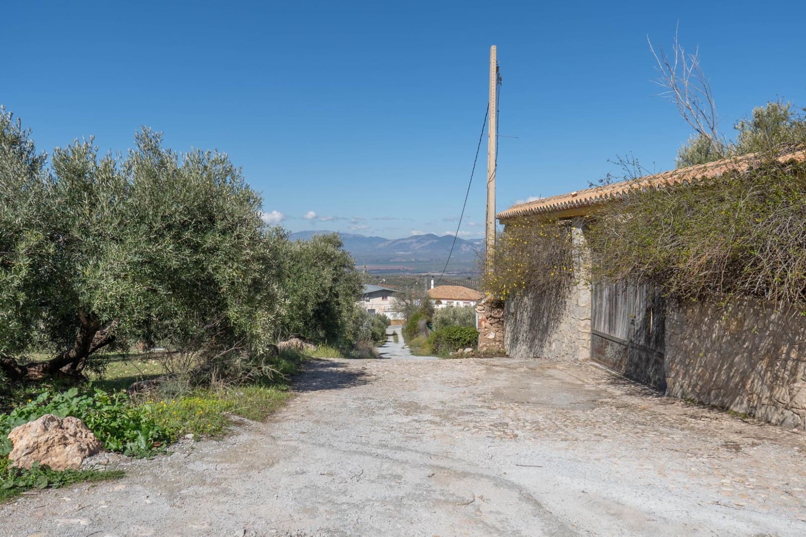 Grunde uden byggetilladelser til salg i Cogollos Vega - € 60.000 (Ref: 8893295)