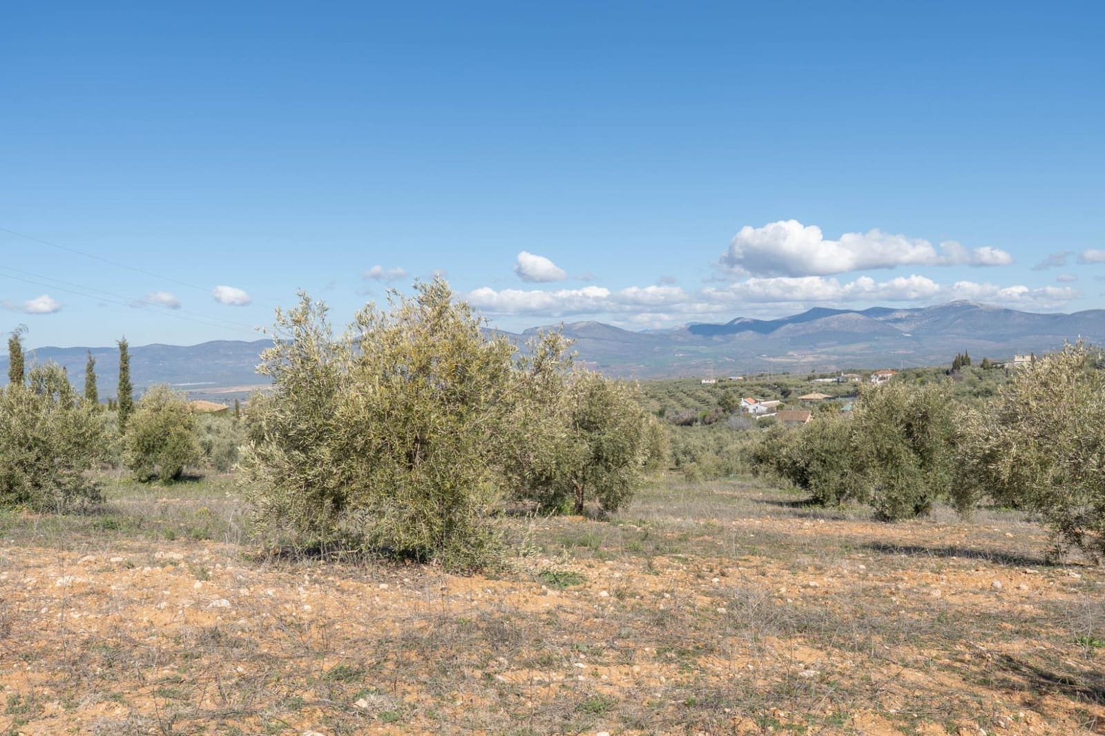 Grunde uden byggetilladelser til salg i Cogollos Vega - € 60.000 (Ref: 8893295)