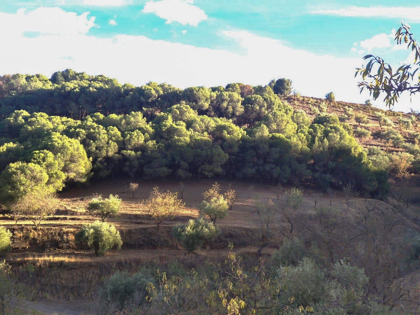 Finka/Dom wiejski na sprzedaż w Cozvijar - 61 900 € (Ref: 8897159)