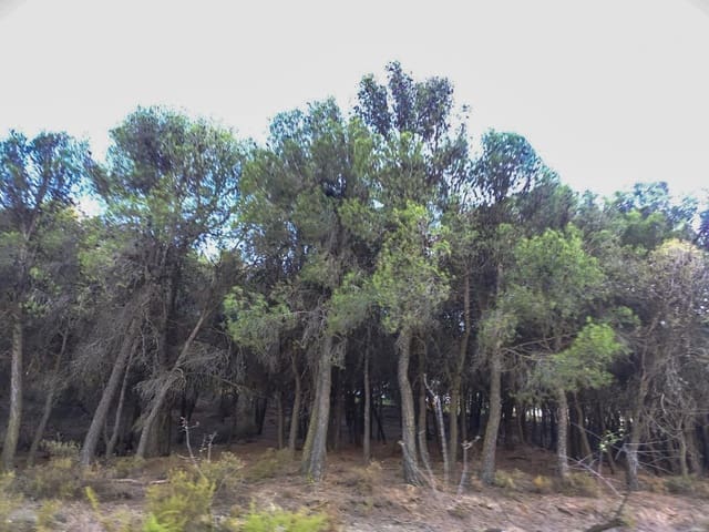 Finka/Dom wiejski na sprzedaż w Cozvijar, Villamena - 61 900 € (Ref: 8897159)