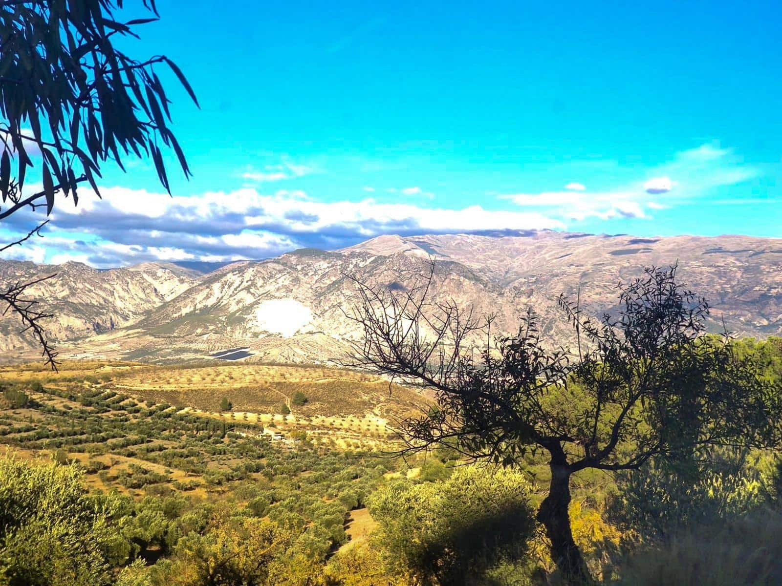 Finka/Dom wiejski na sprzedaż w Cozvijar - 61 900 € (Ref: 8897159)