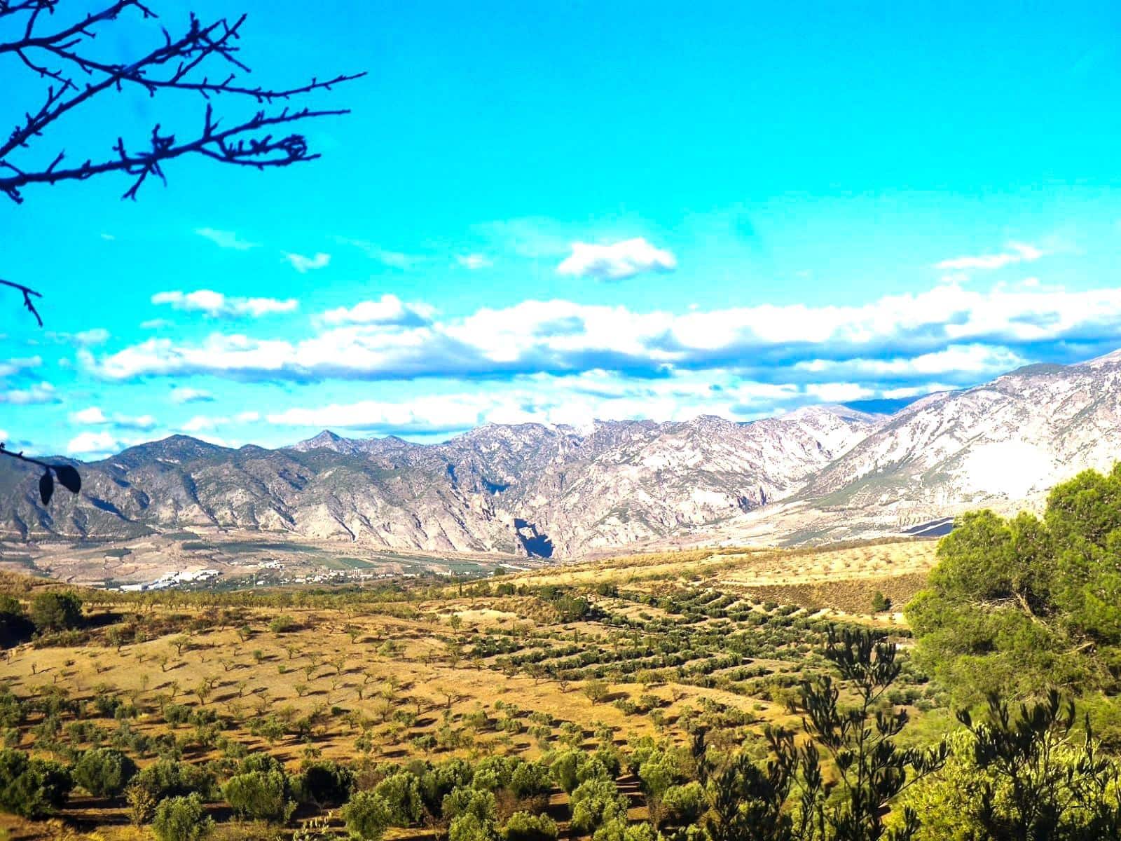 Finka/Dom wiejski na sprzedaż w Cozvijar - 61 900 € (Ref: 8897159)