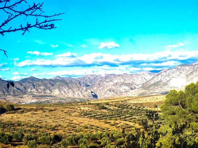 Finka/Dom wiejski na sprzedaż w Cozvijar, Villamena - 61 900 € (Ref: 8897159)