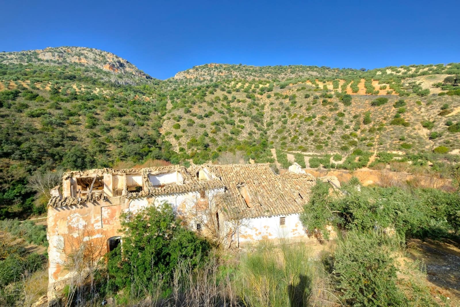 Finca/Landehus til salg i Algarinejo - € 290.000 (Ref: 8900094)