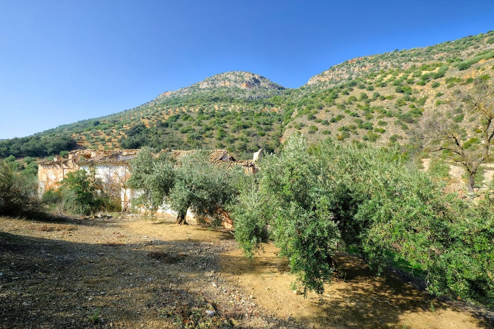 Finca/Landehus til salg i Algarinejo - € 290.000 (Ref: 8900094)