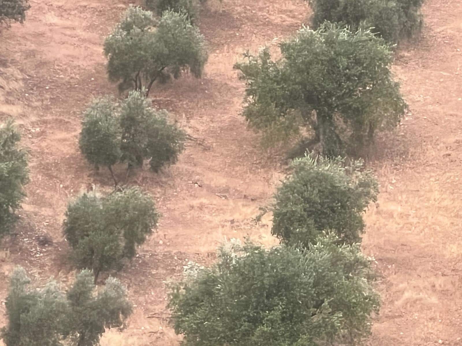 Finca/Landehus til salg i Algarinejo - € 290.000 (Ref: 8900094)