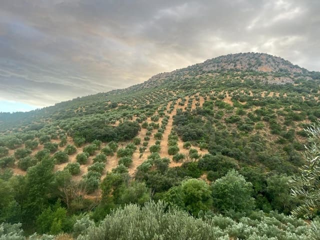 Finca/Landehus til salg i Algarinejo - € 290.000 (Ref: 8900094)