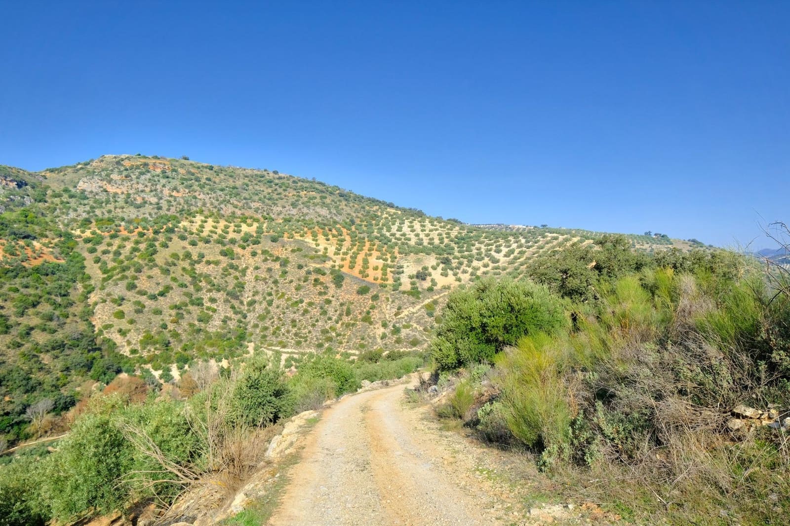 Finca/Landehus til salg i Algarinejo - € 290.000 (Ref: 8900094)