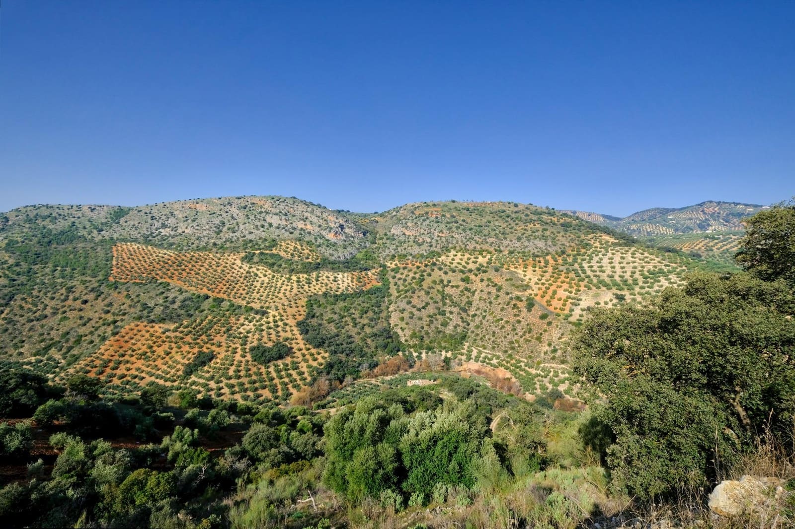 Finca/Landehus til salg i Algarinejo - € 290.000 (Ref: 8900094)