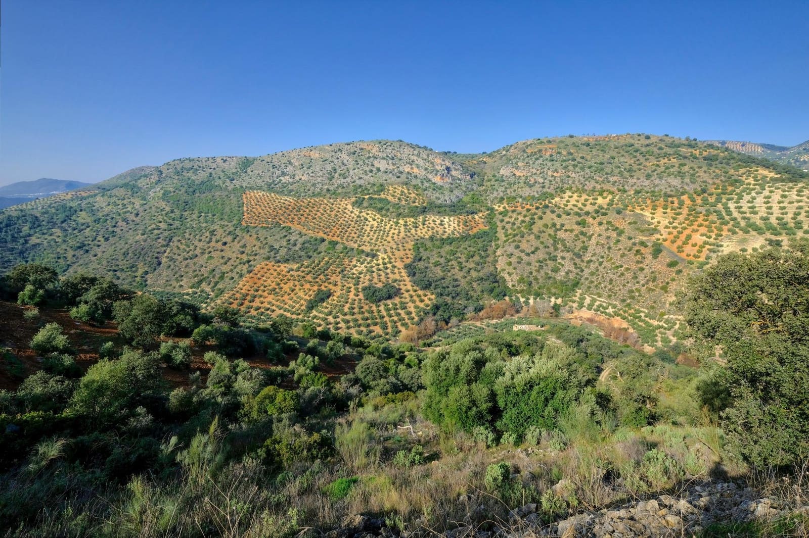 Finca/Landehus til salg i Algarinejo - € 290.000 (Ref: 8900094)