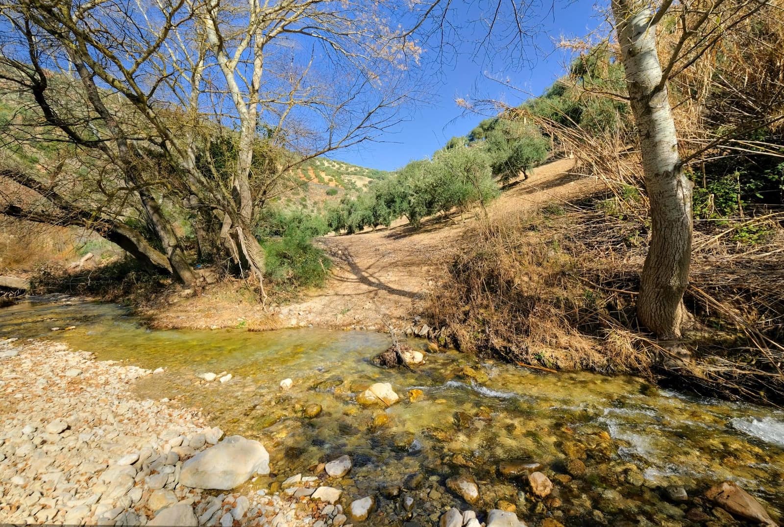 Finca/Landehus til salg i Algarinejo - € 290.000 (Ref: 8900094)