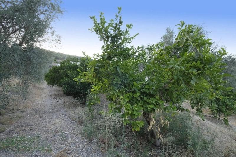 1 chambre Finca/Maison de Campagne à vendre à Cozvijar - 149 900 € (Ref: 8900095)