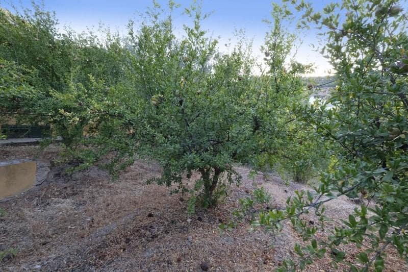 2 chambre Finca/Maison de Campagne à vendre à Cozvijar - 212 900 € (Ref: 8900096)