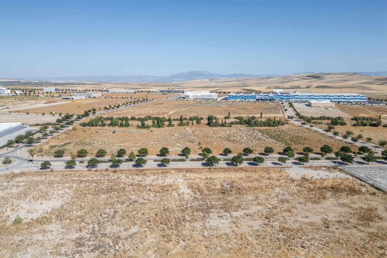 Grunde uden byggetilladelser til salg i Escuzar - € 3.367.715 (Ref: 8900105)