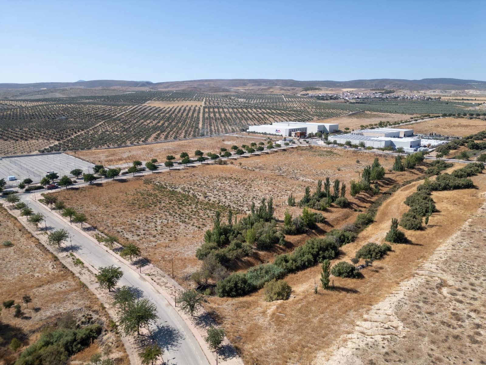 Grunde uden byggetilladelser til salg i Escuzar - € 3.367.715 (Ref: 8900105)