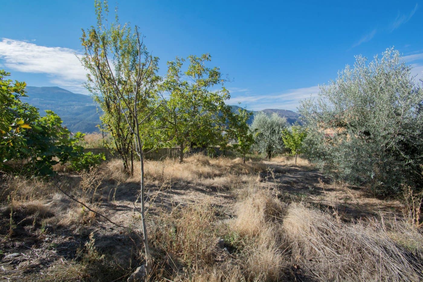 4 soveværelse Villa til salg i Guejar Sierra med swimmingpool garage - € 314.900 (Ref: 8905674)