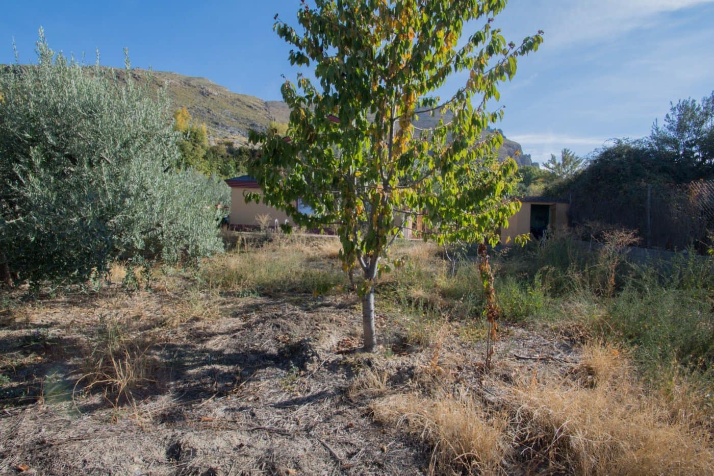 4 soveværelse Villa til salg i Guejar Sierra med swimmingpool garage - € 314.900 (Ref: 8905674)