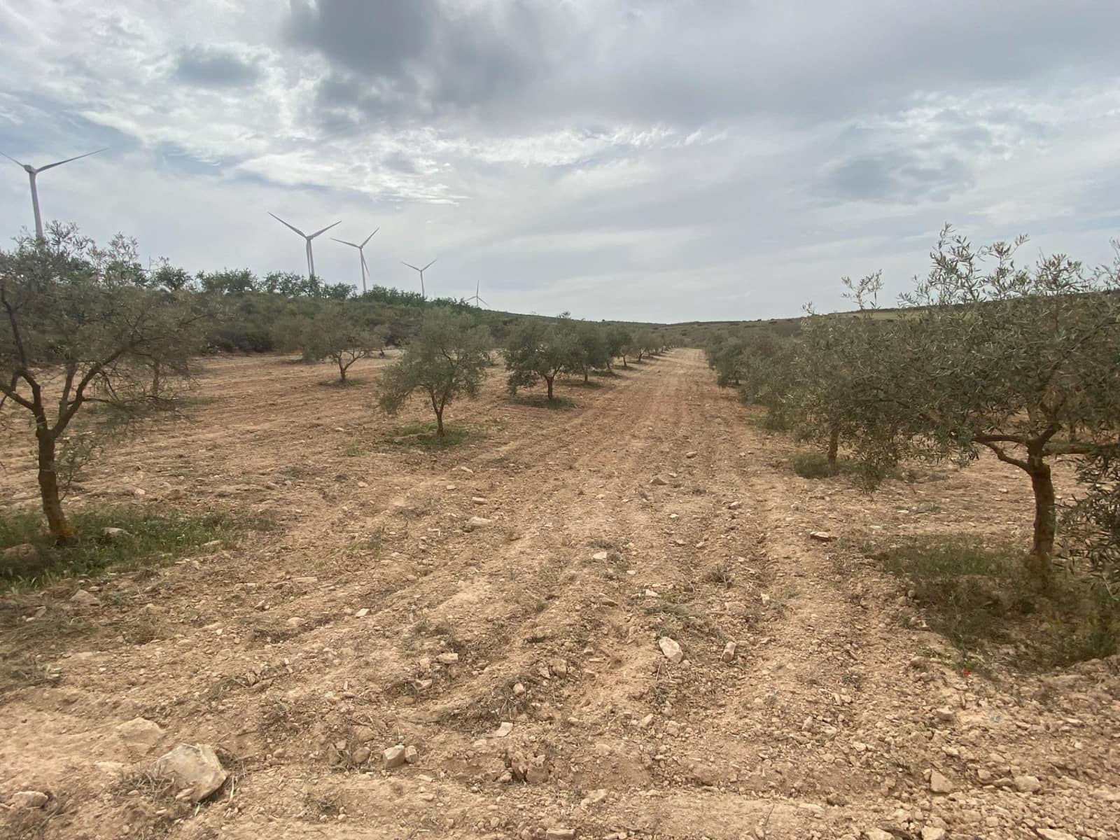 Finka/Dom wiejski na sprzedaż w Padul - 27 000 € (Ref: 8911100)