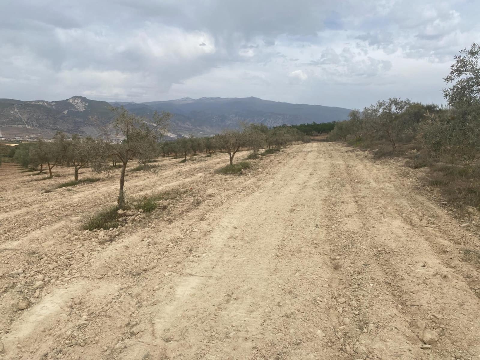 Finka/Dom wiejski na sprzedaż w Padul - 27 000 € (Ref: 8911100)