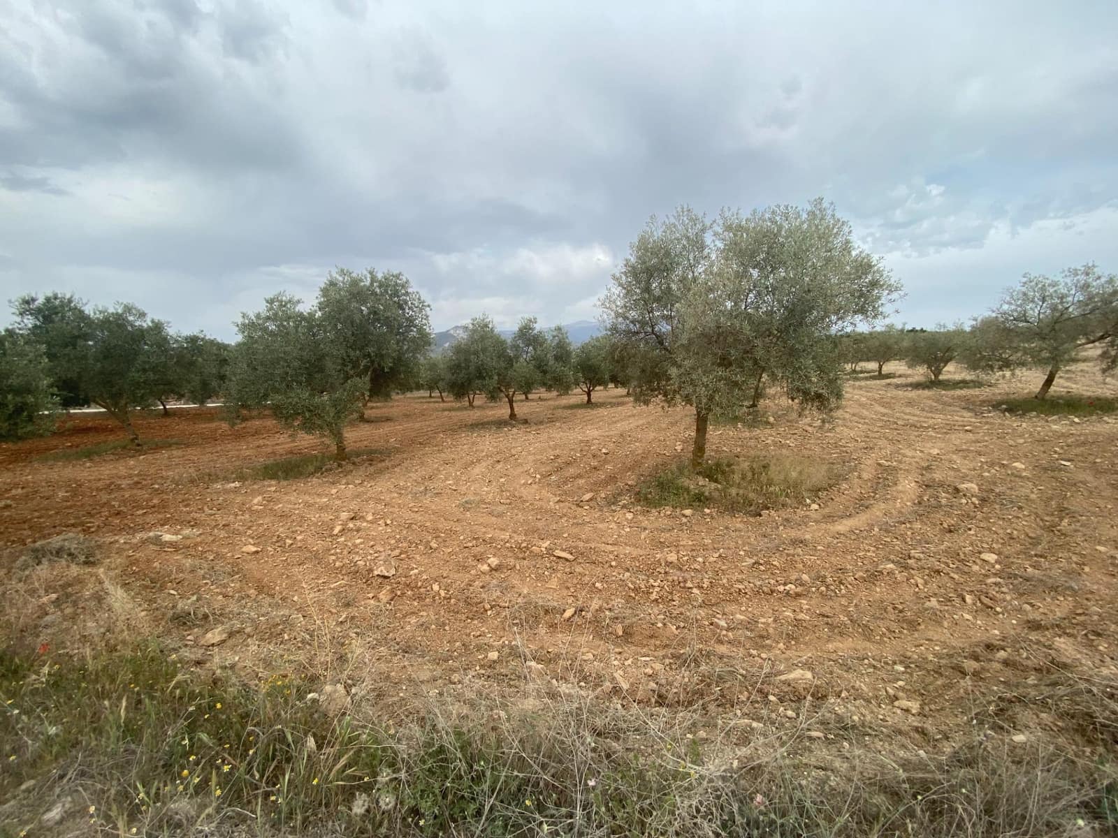 Finka/Dom wiejski na sprzedaż w Padul - 27 000 € (Ref: 8911100)