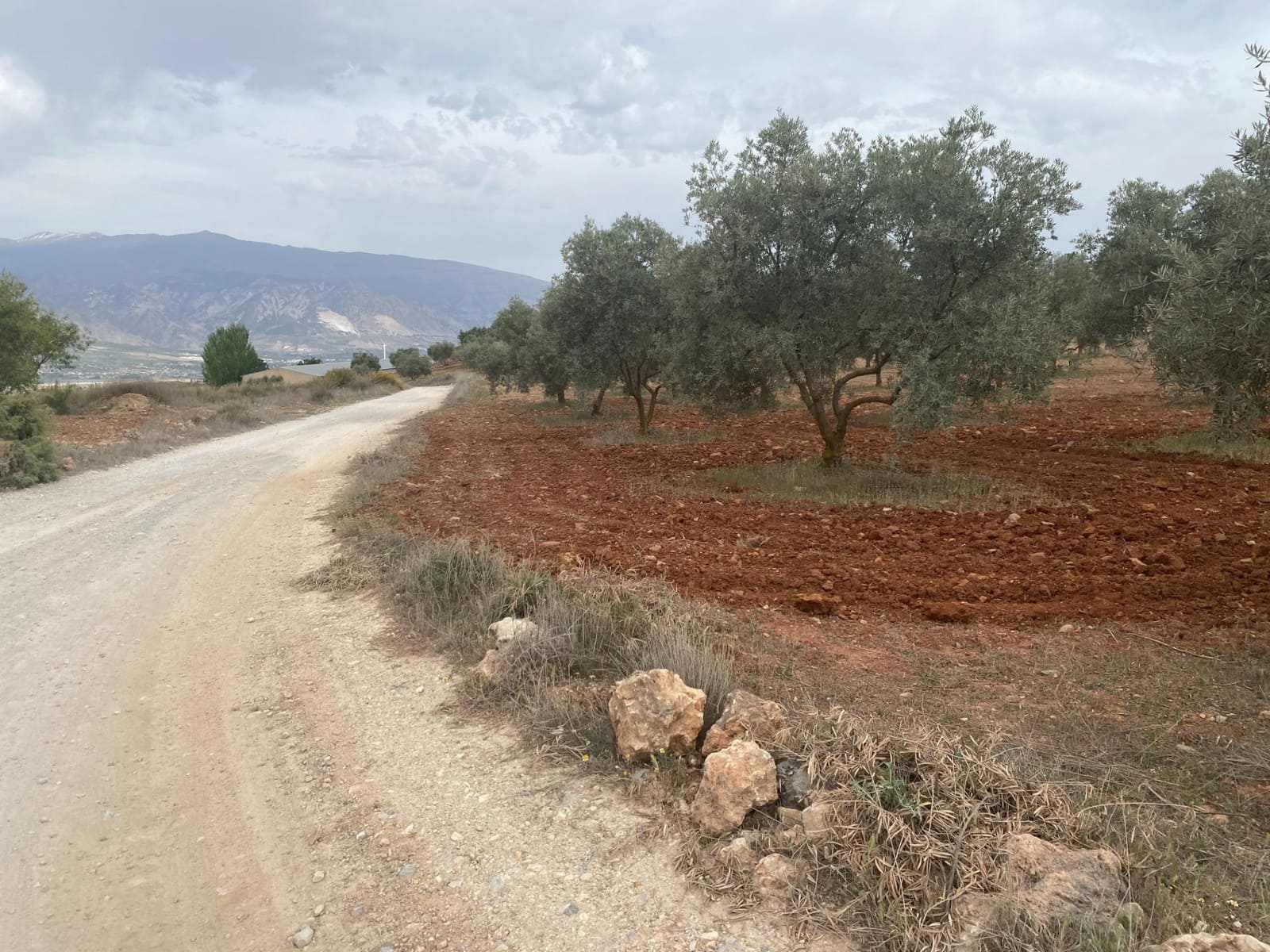 Finka/Dom wiejski na sprzedaż w Padul - 27 000 € (Ref: 8911100)