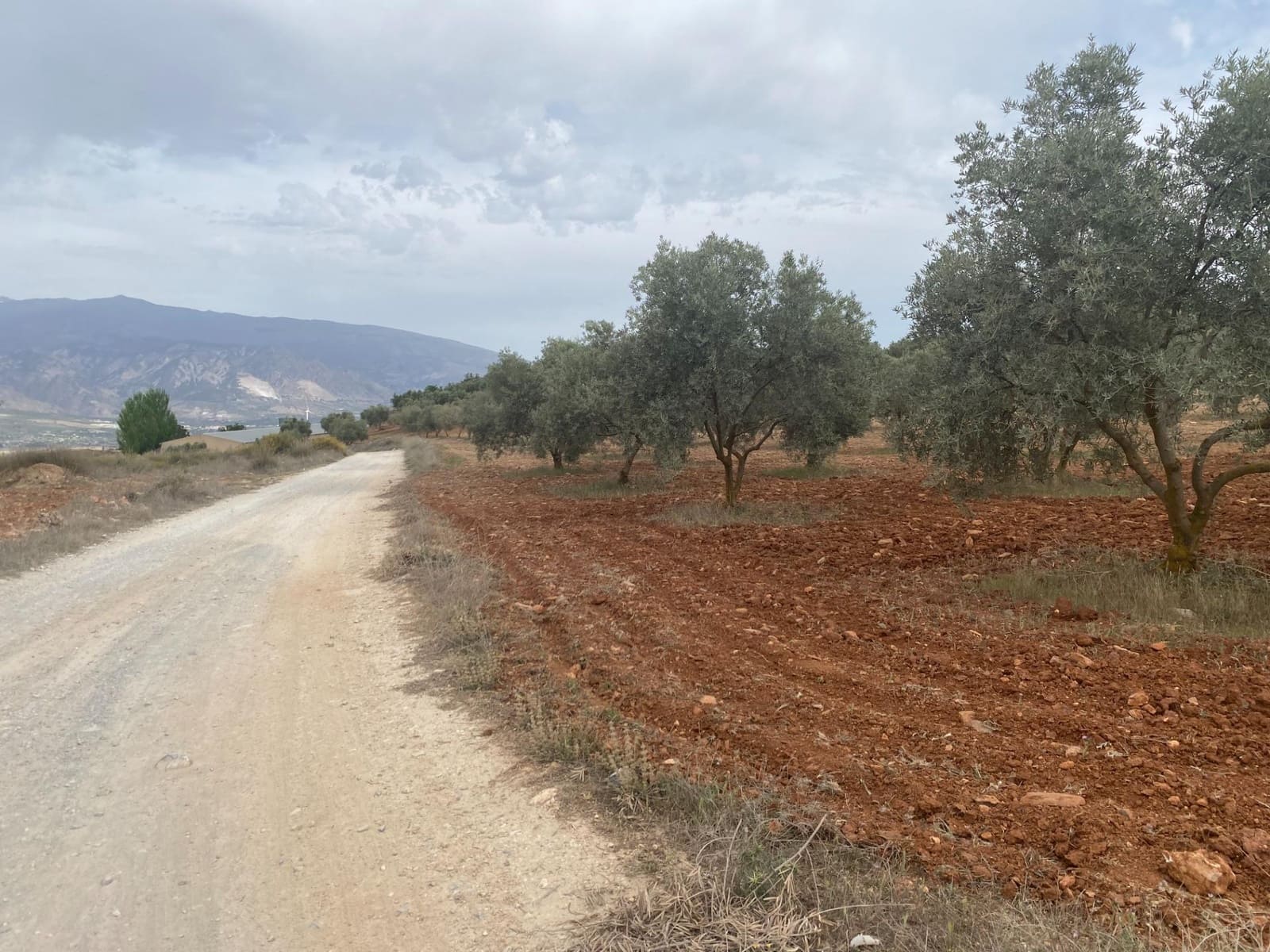 Finka/Dom wiejski na sprzedaż w Padul - 27 000 € (Ref: 8911100)