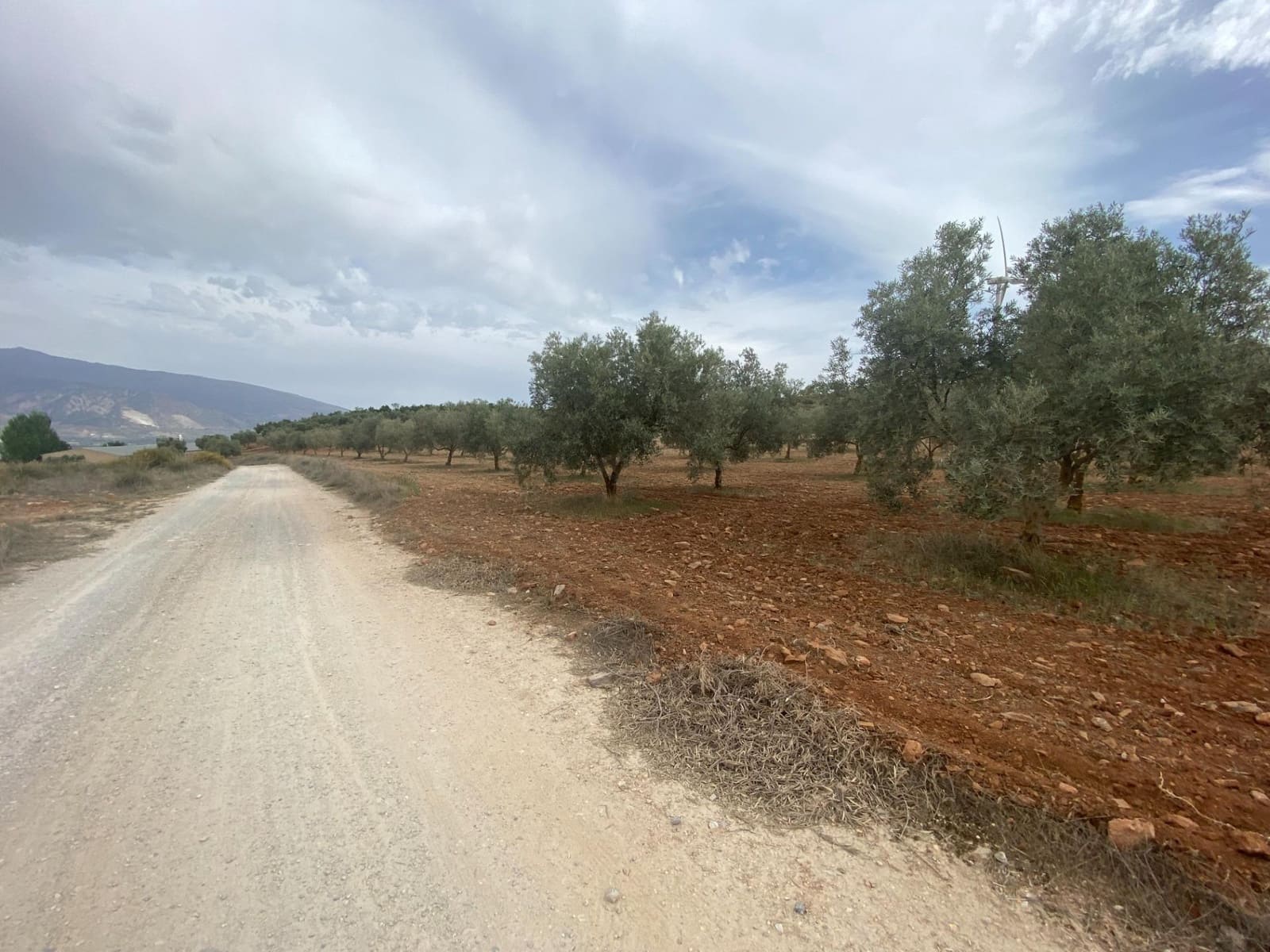 Finka/Dom wiejski na sprzedaż w Padul - 27 000 € (Ref: 8911100)