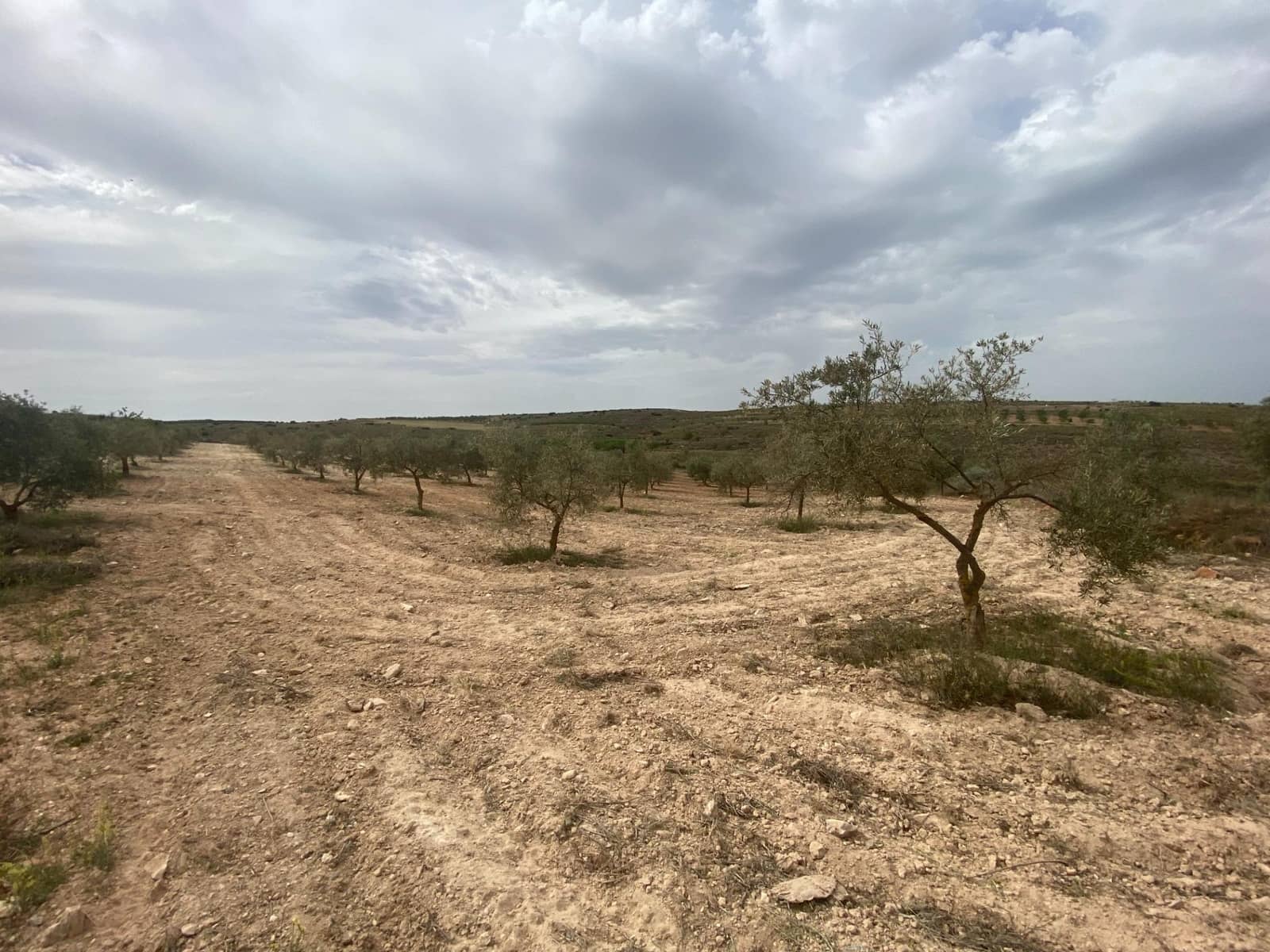 Finka/Dom wiejski na sprzedaż w Padul - 27 000 € (Ref: 8911100)