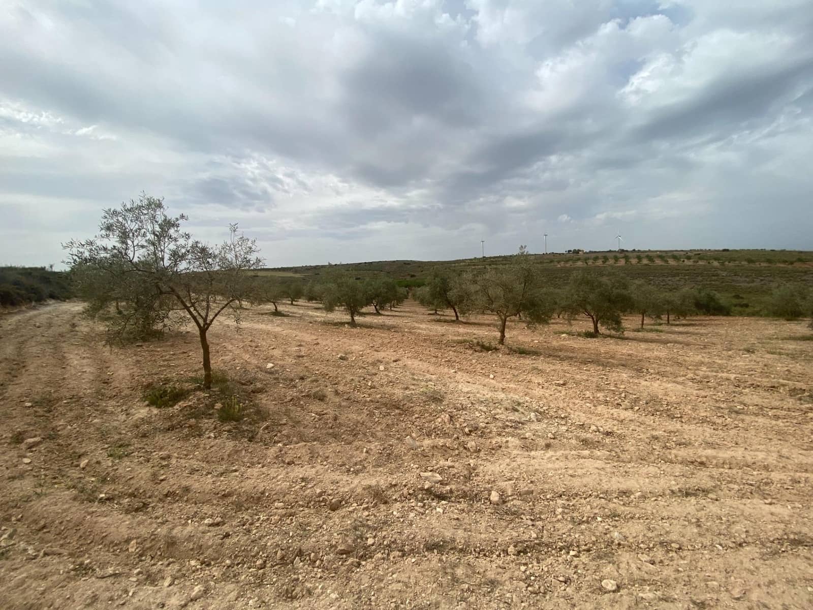 Finka/Dom wiejski na sprzedaż w Padul - 27 000 € (Ref: 8911100)