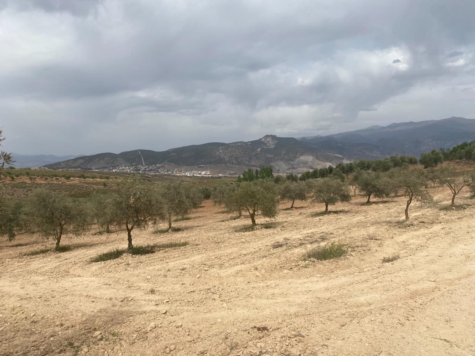 Finka/Dom wiejski na sprzedaż w Padul - 27 000 € (Ref: 8911100)