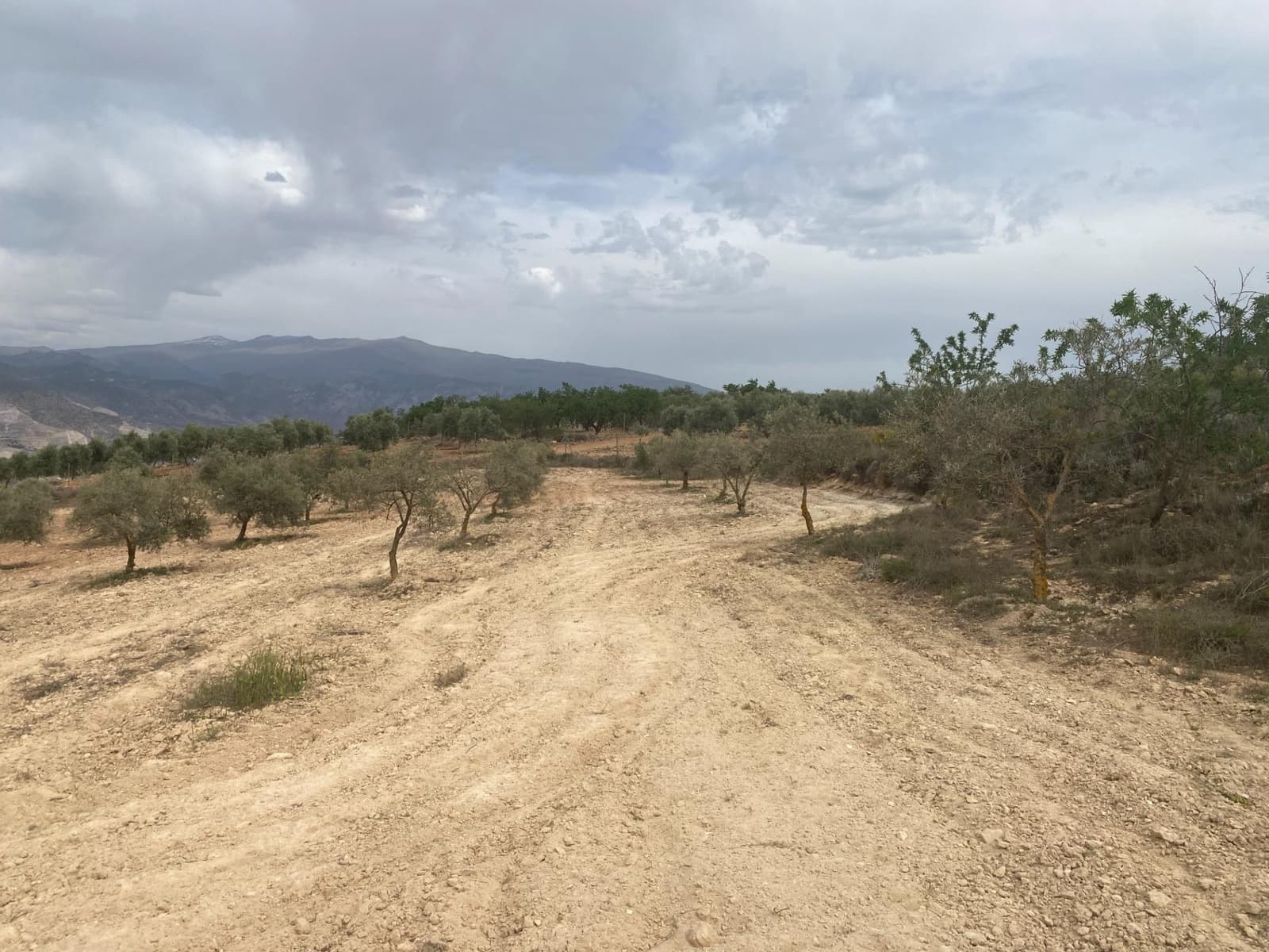 Finka/Dom wiejski na sprzedaż w Padul - 27 000 € (Ref: 8911100)