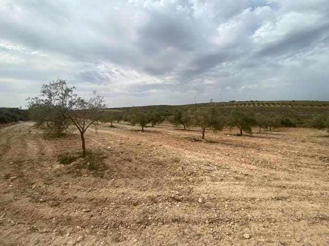 Finka/Dom wiejski na sprzedaż w Padul - 27 000 € (Ref: 8911100)