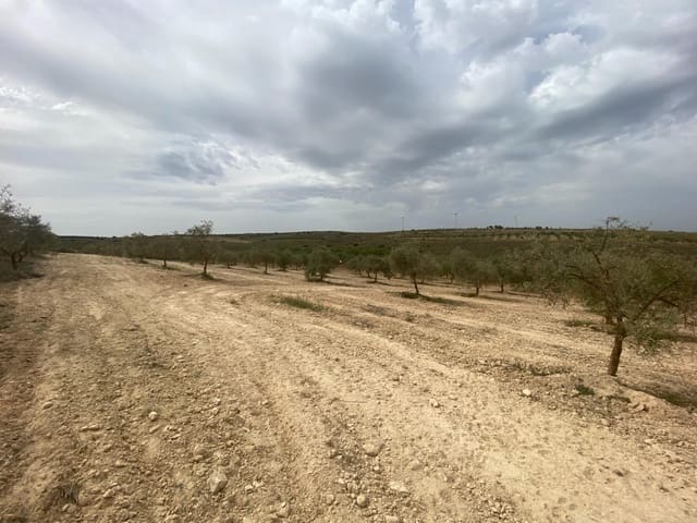 Finka/Dom wiejski na sprzedaż w Padul - 27 000 € (Ref: 8911100)