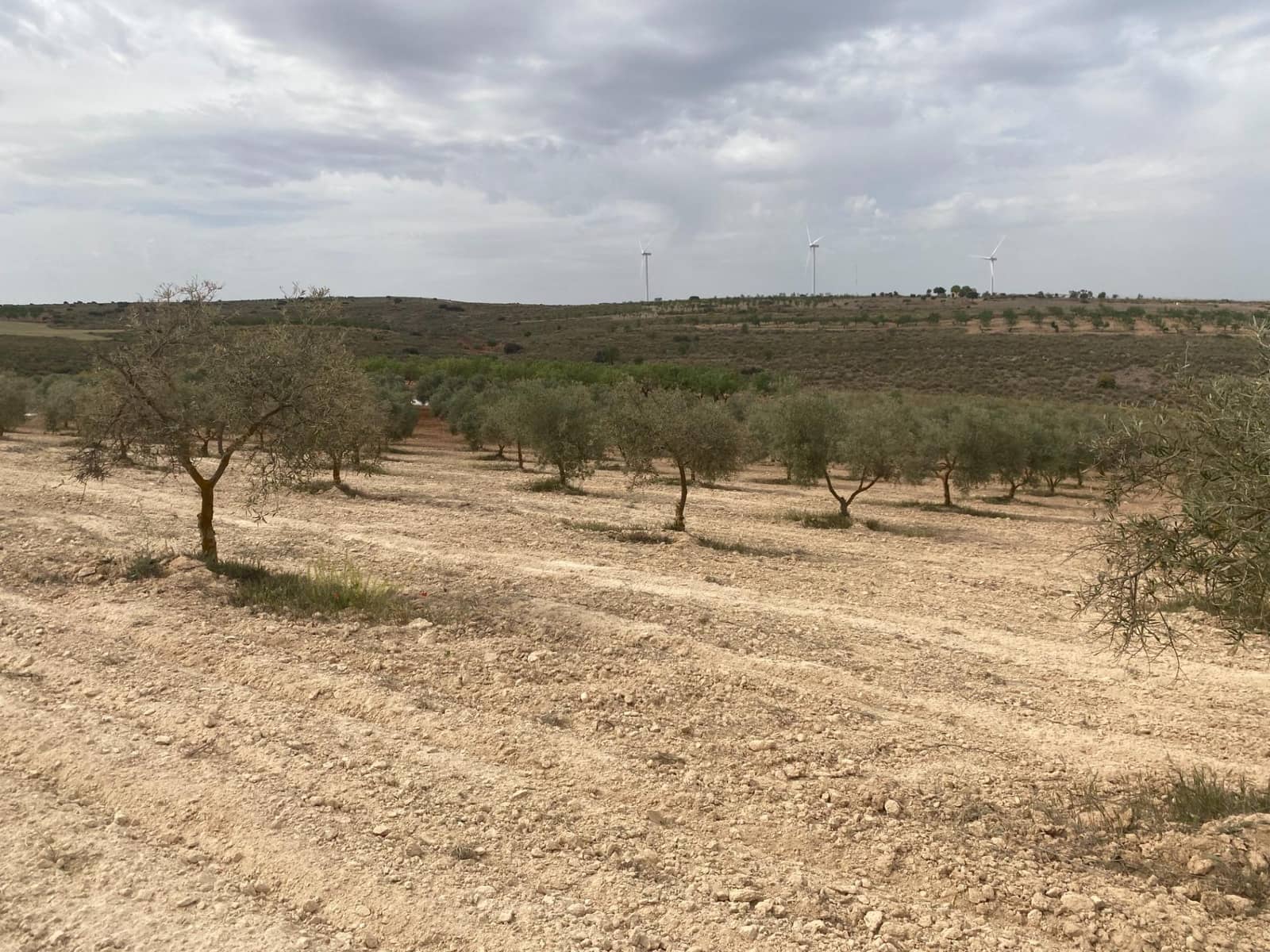 Finka/Dom wiejski na sprzedaż w Padul - 27 000 € (Ref: 8911100)