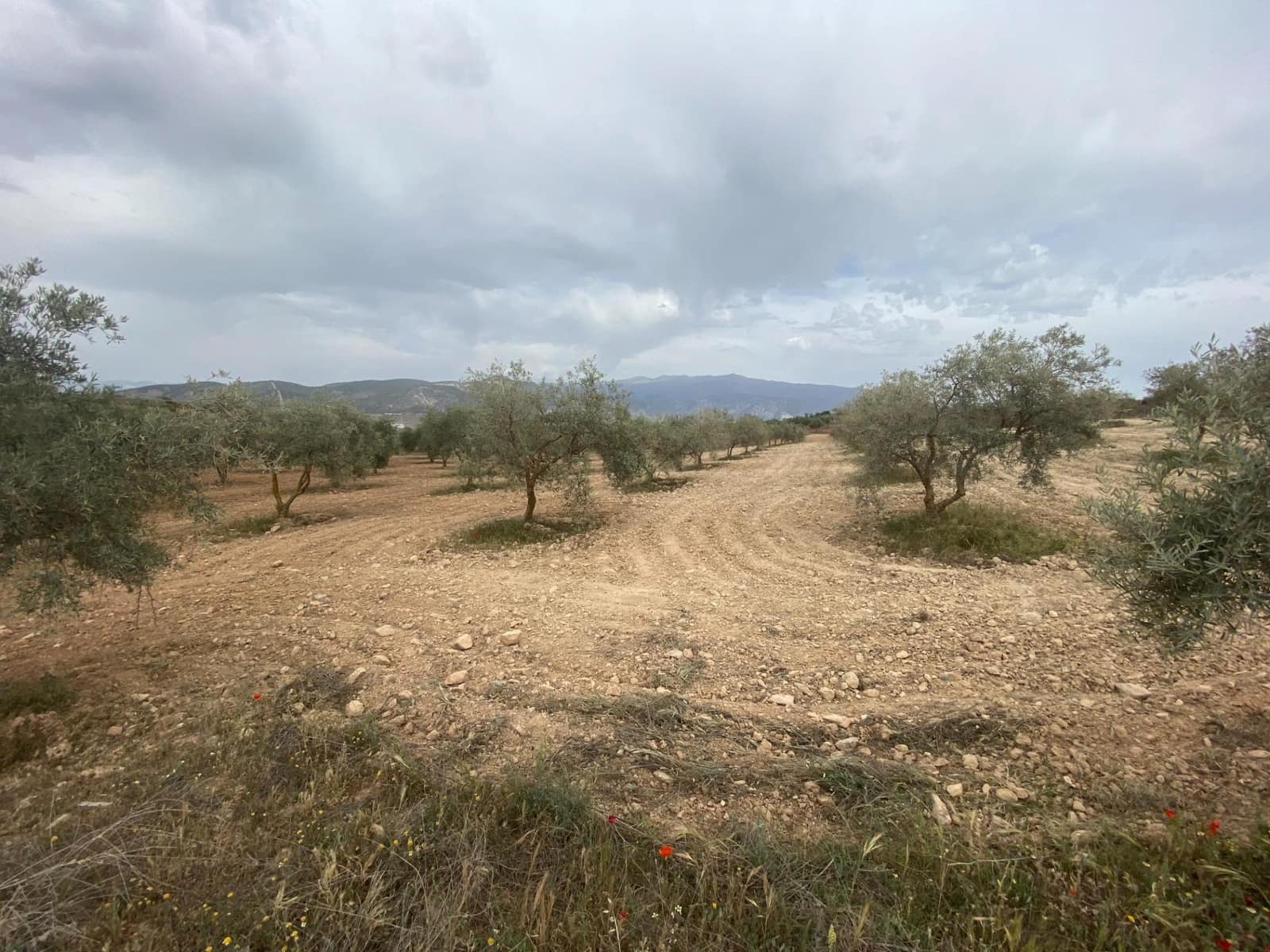 Finka/Dom wiejski na sprzedaż w Padul - 27 000 € (Ref: 8911100)