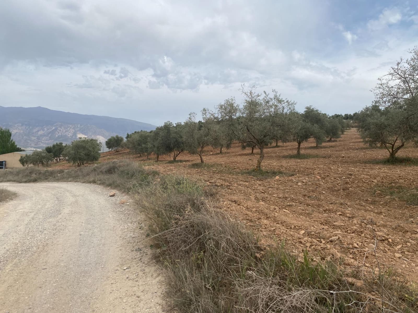 Finka/Dom wiejski na sprzedaż w Padul - 27 000 € (Ref: 8911100)