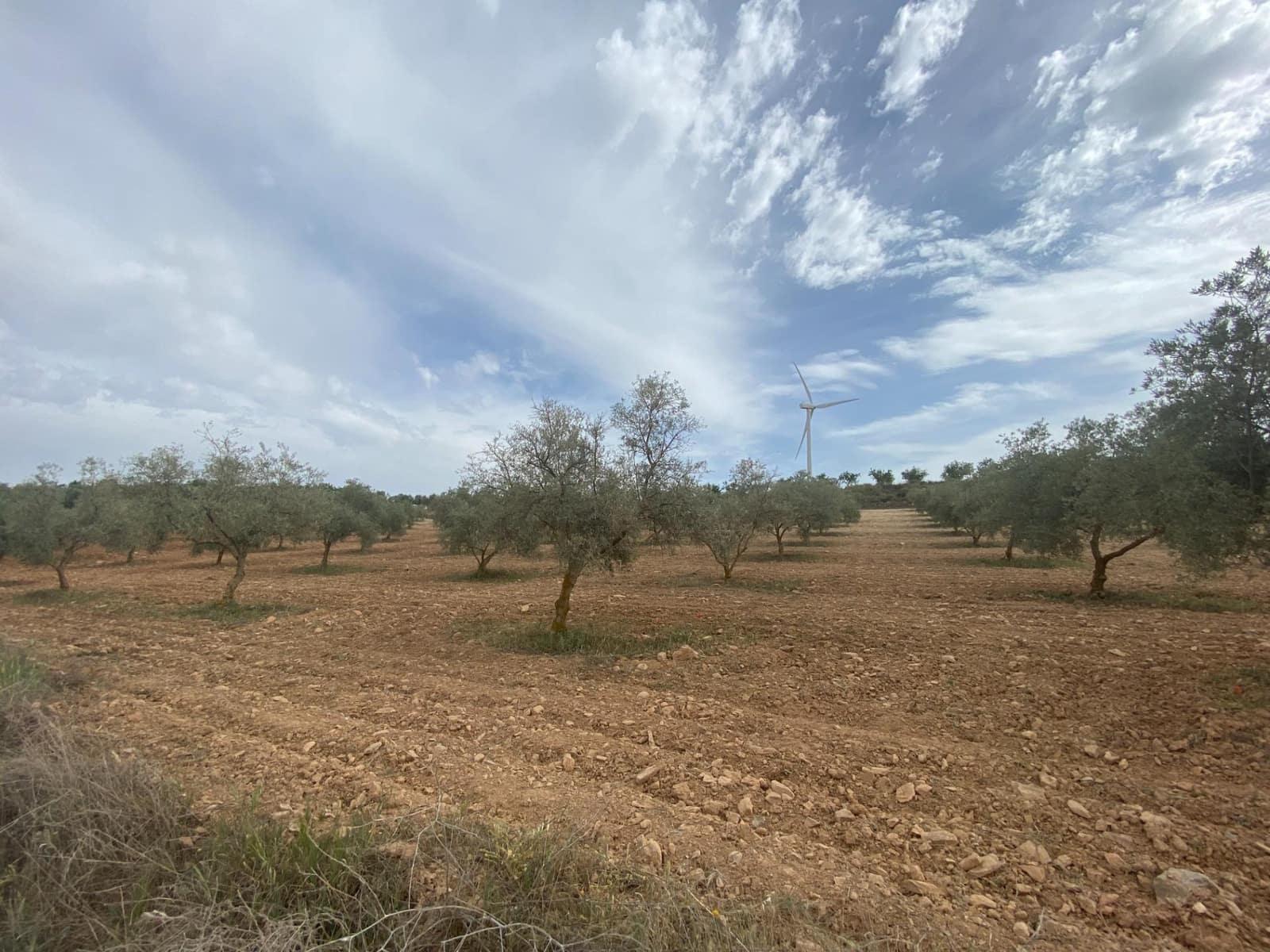 Finka/Dom wiejski na sprzedaż w Padul - 27 000 € (Ref: 8911100)